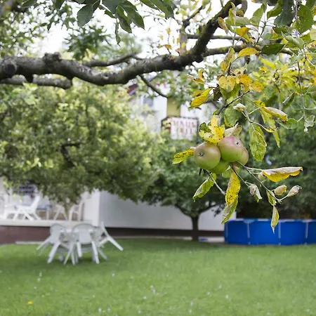 Accommodatie bij particulieren Haus Pelso Gyenesdiás